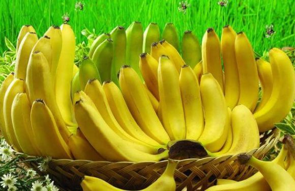 Efek Samping Pisang Berlebihan